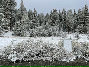 Yosemmity, USA National Parks