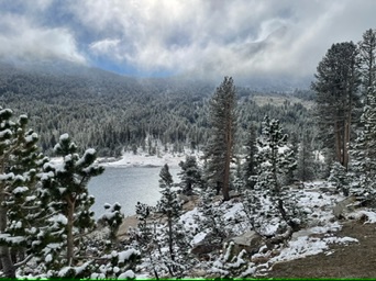 Yosemmity, USA National Parks