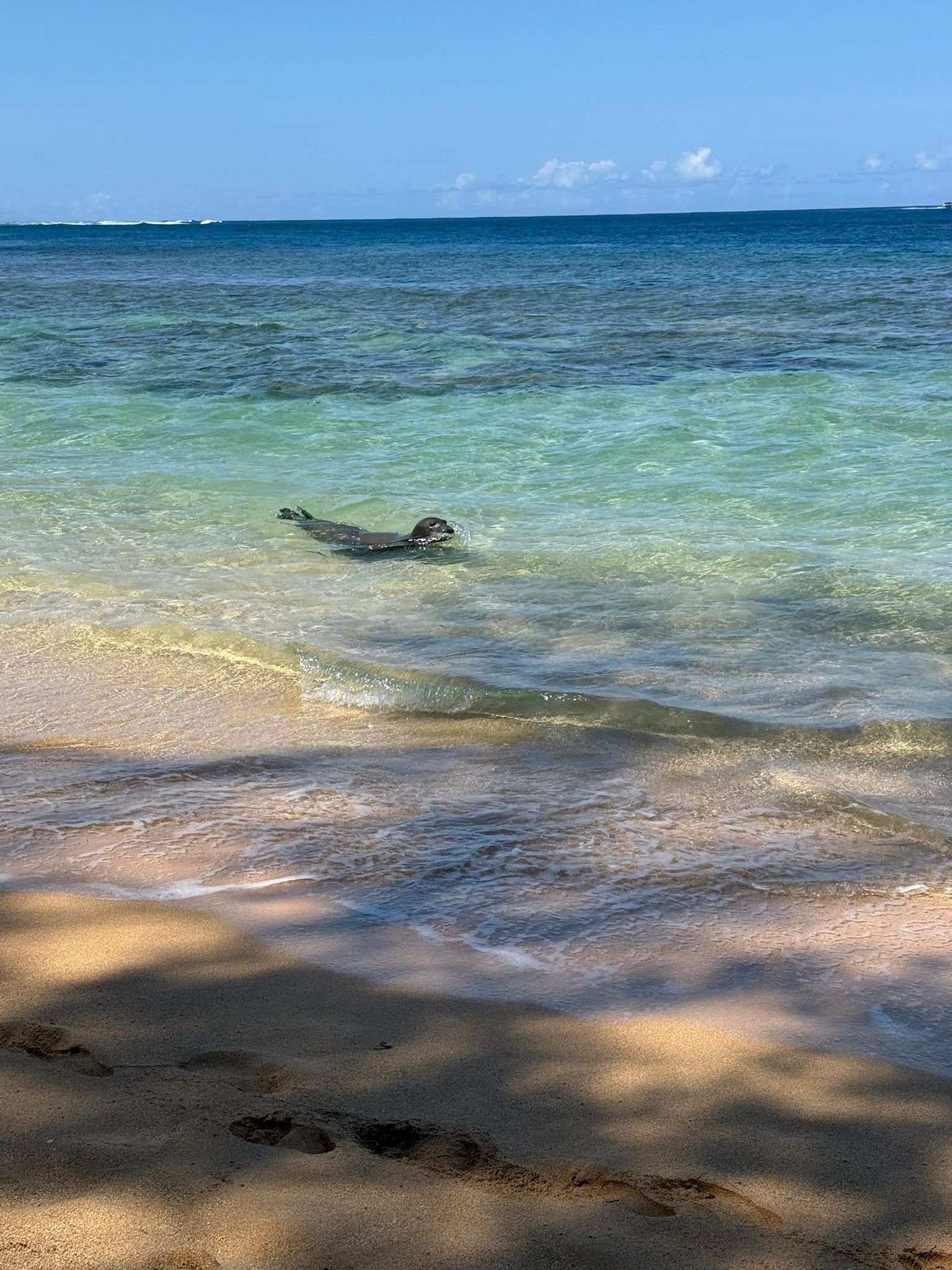 Hawaii: Aloha Spirit