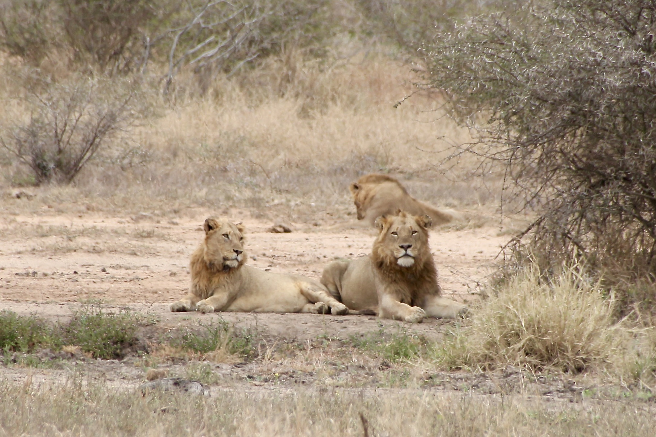 South Africa: Garden Route